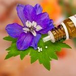 homöopathie
